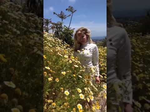 Video: Flower shoot